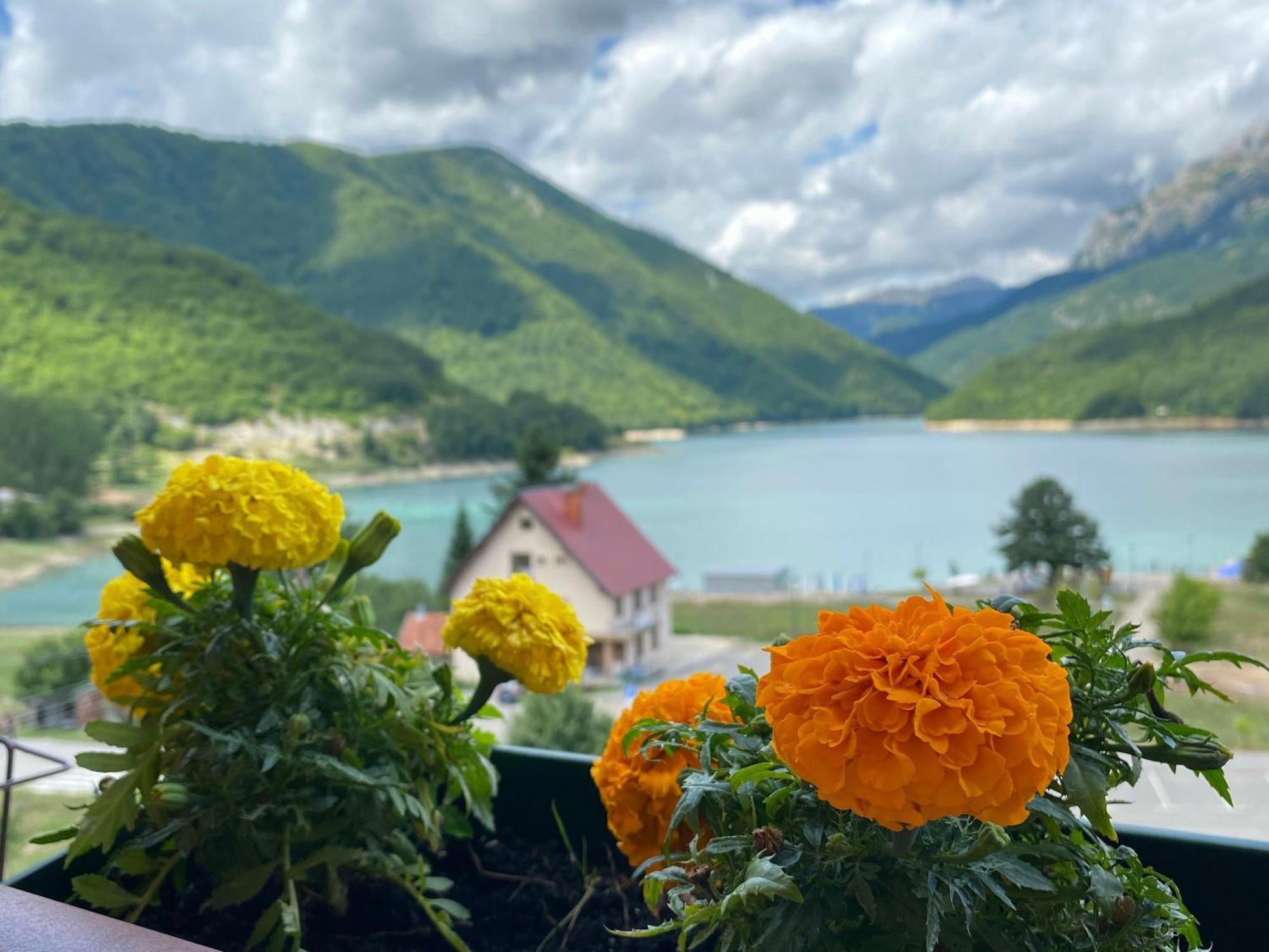 Lakeview Plužine